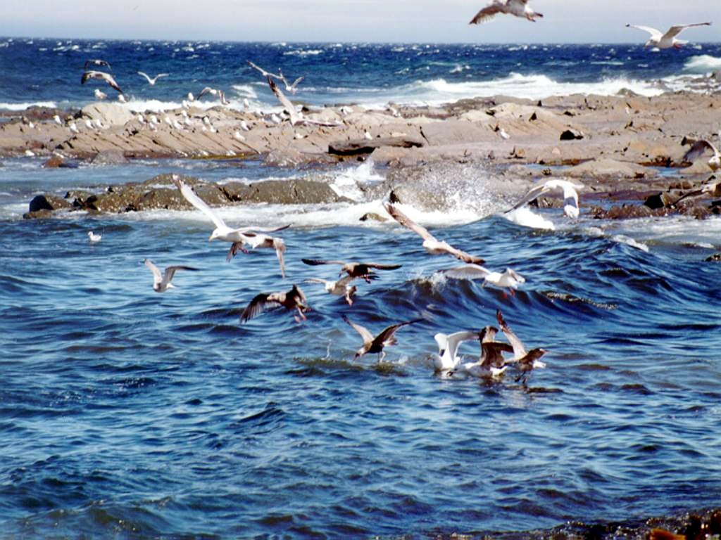 Fotografia di Domenico Scopacasa